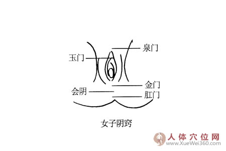 女子阴窍按摩穴位图