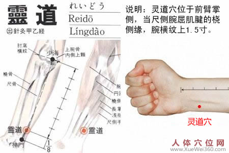 灵道穴的准确位置图