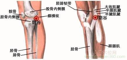 阴谷穴的准确位置图