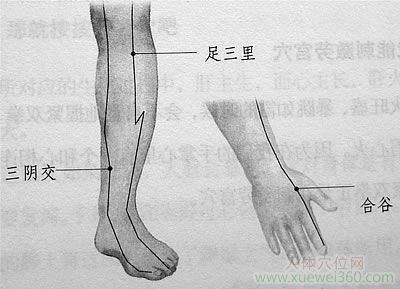 <a href='http://www.liuyanbao.net/rentixueweichaxun/558.html' target='_blank'><u>三阴交</u></a> <a href='http://www.liuyanbao.net/rentixueweichaxun/689.html' target='_blank'><u>足三里</u></a> <a href='http://www.liuyanbao.net/rentixueweichaxun/475.html' target='_blank'><u>合谷穴</u></a>