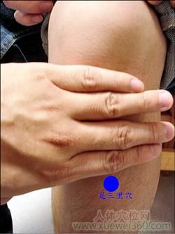 <a href='http://www.liuyanbao.net/rentixueweichaxun/689.html' target='_blank'><u>足三里</u></a>穴位位置图