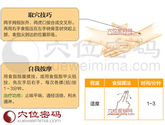 列缺穴位图