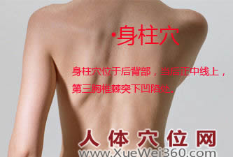 身柱穴的准确位置图