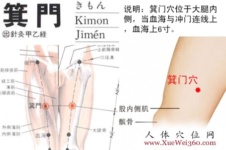 箕门穴