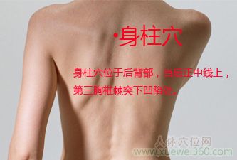 身柱穴位位置图