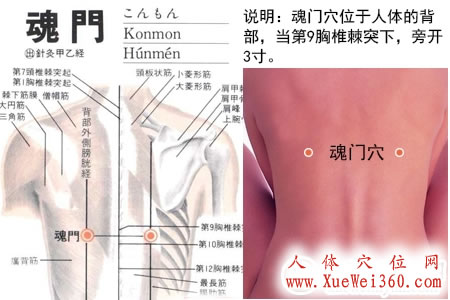 魂门穴