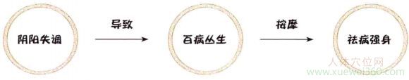 平衡阴阳，调节功能