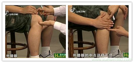 <a href='http://www.liuyanbao.net/rentixueweichaxun/689.html' target='_blank'><u>足三里</u></a>穴的准确位置图
