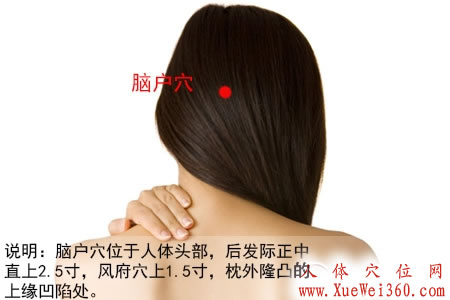 脑户穴