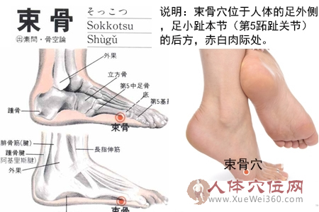 束骨穴的准确位置图