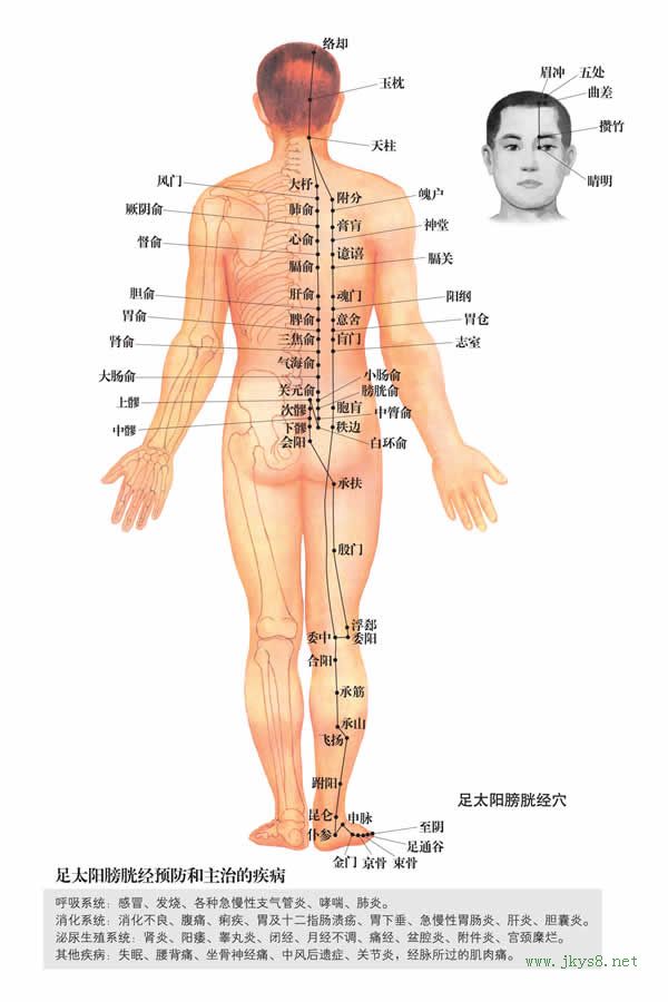 督俞穴：膀胱经(图文)