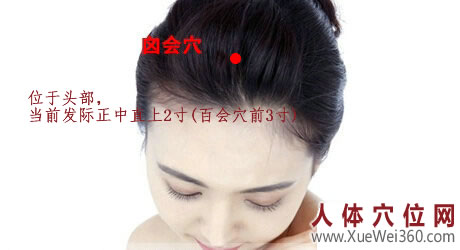 囟会穴的准确位置图