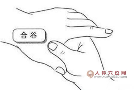 <a href='http://www.liuyanbao.net/rentixueweichaxun/475.html' target='_blank'><u>合谷穴</u></a>