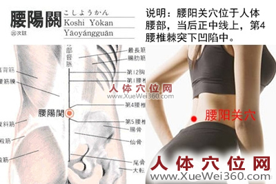 腰阳关穴的准确位置图