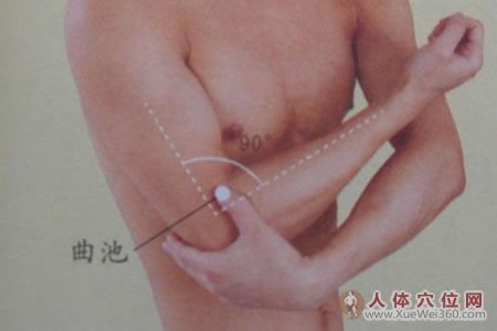 十大艾灸保健养生穴详细介绍：曲池穴