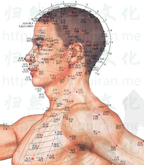 肩髃穴：大肠经(图文)