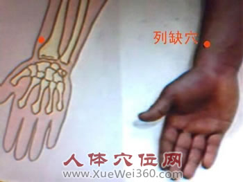 列缺穴的准确位置图