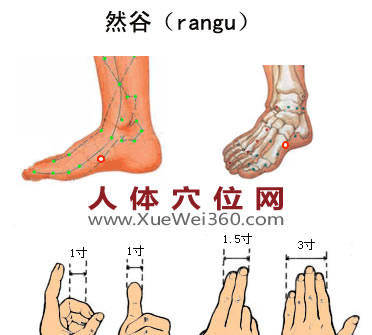 然谷穴位位置图