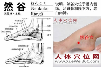 然谷穴的准确位置图