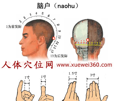 脑户穴