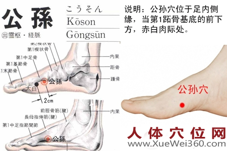 公孙穴的准确位置图