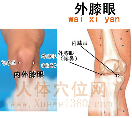 外膝眼穴的准确位置图