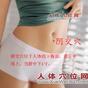 阴交穴的准确位置图