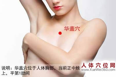 华盖穴的准确位置图