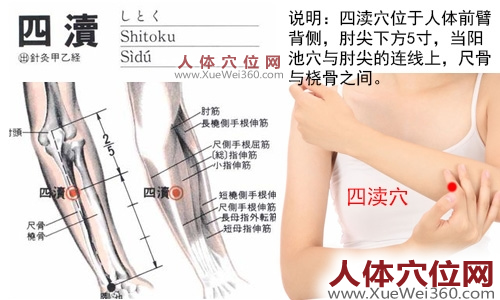 四渎穴的准确位置图