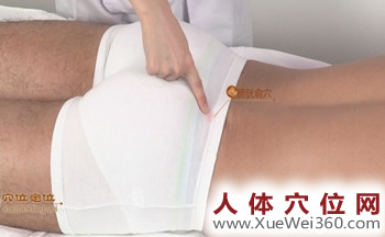 膀胱俞穴的准确位置图