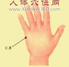 后溪穴位位置图