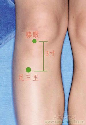 <a href='http://www.liuyanbao.net/rentixueweichaxun/689.html' target='_blank'><u>足三里</u></a>