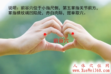图解前谷穴位位置图