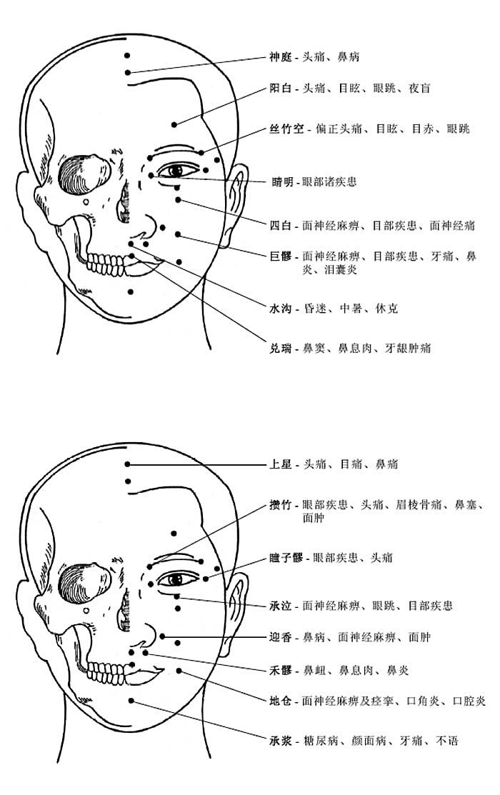 脸部穴位图及作用功效