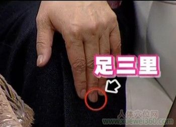 <a href='http://www.liuyanbao.net/rentixueweichaxun/689.html' target='_blank'><u>足三里</u></a>的位置在哪里