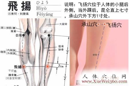 飞扬穴