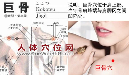 巨骨穴的准确位置图