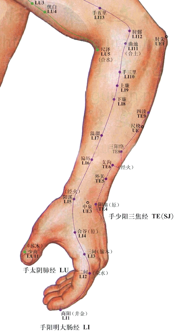 商阳穴：大肠经(图文)