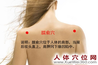 臑俞穴的准确位置图