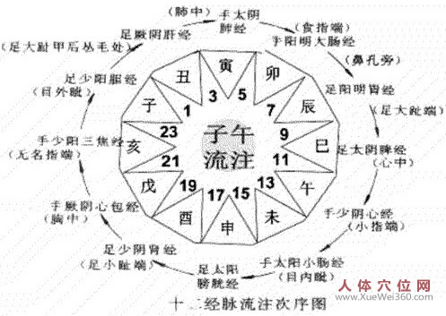 经脉流注次序图