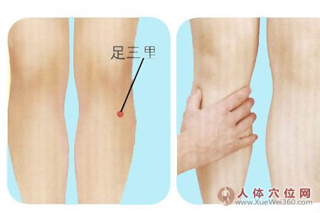 <a href='http://www.liuyanbao.net/rentixueweichaxun/689.html' target='_blank'><u>足三里</u></a>的取穴方法