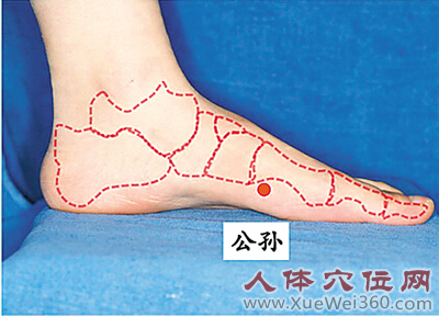 公孙穴位位置图