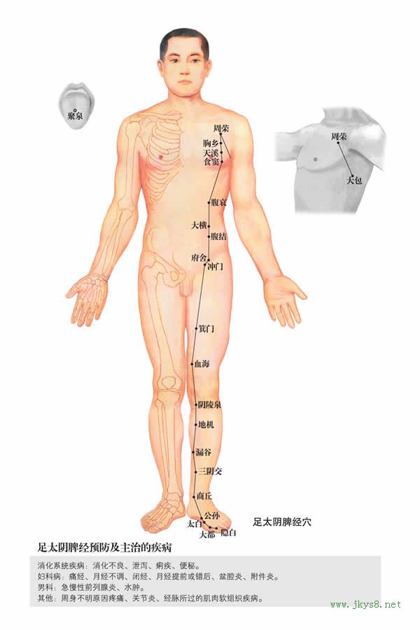 腹结穴：脾经(图文)