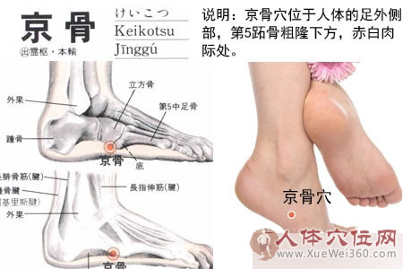 京骨穴的准确位置图
