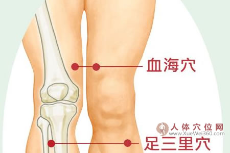血海穴位位置图