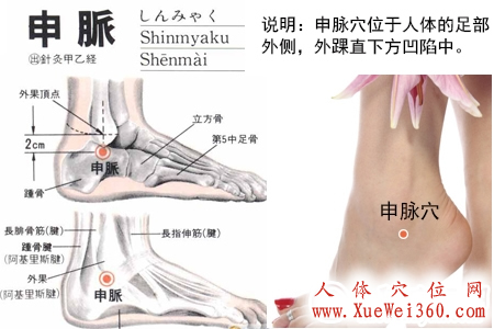 申脉穴位位置图