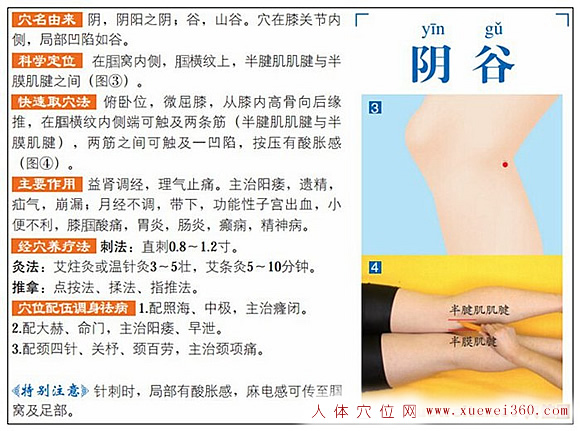 按摩阴谷穴的作用和好处