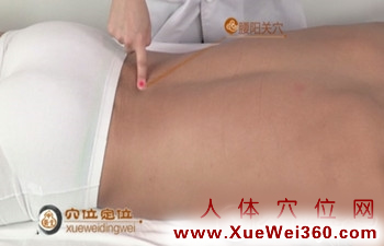 腰阳关穴