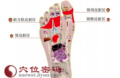 足部里疗法：