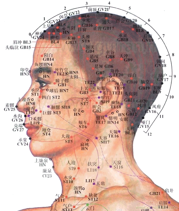角孙穴：三焦经(图文)